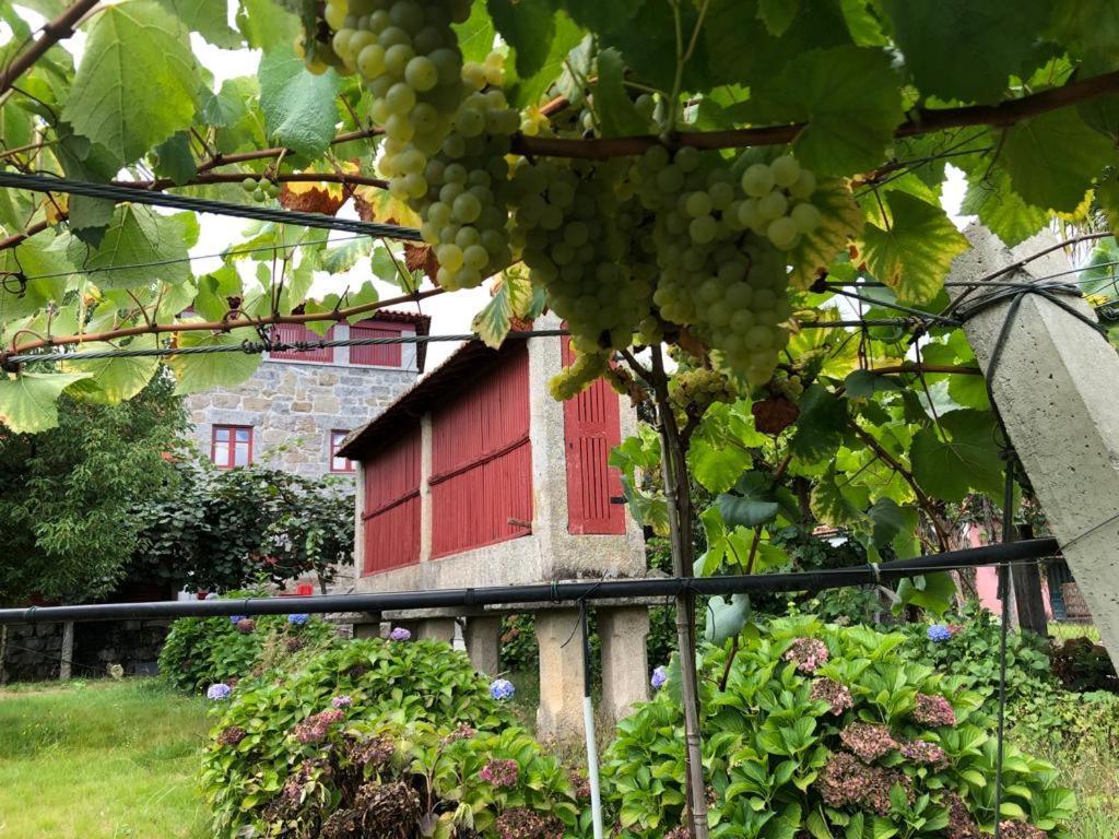 Séjour à la ferme Quinta De Maderne Felgueiras