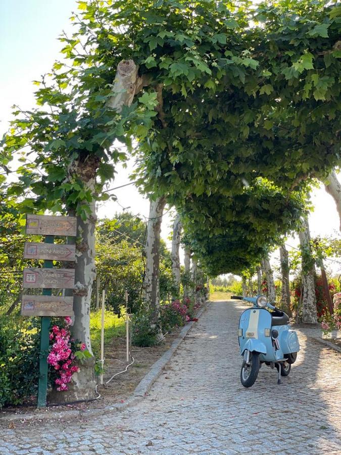 Quinta De Maderne Séjour à la ferme *